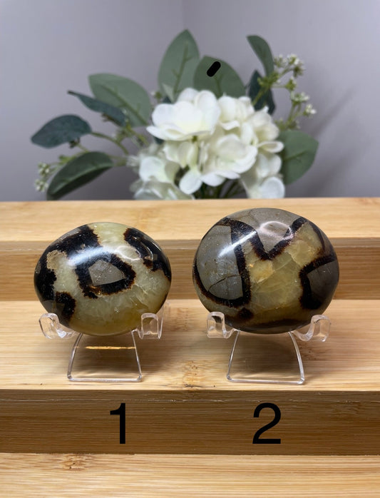 Septarian Palm Stone