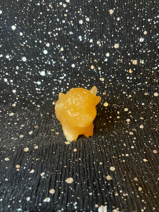 Yellow Highland Cow